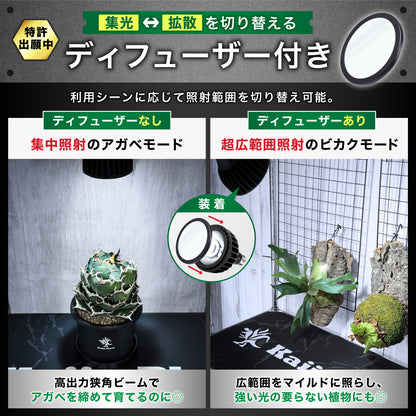 Kaiju Plant 怪獣ビーム LOW 12W