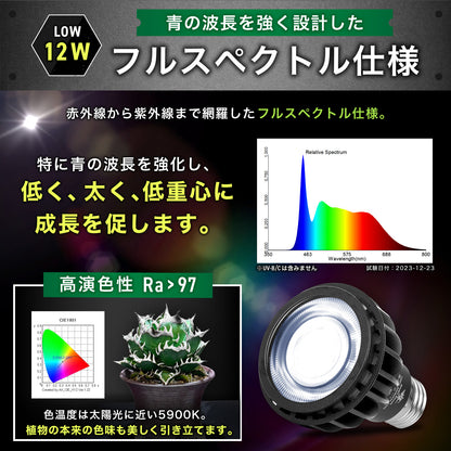 Kaiju Plant 怪獣ビーム LOW 12W