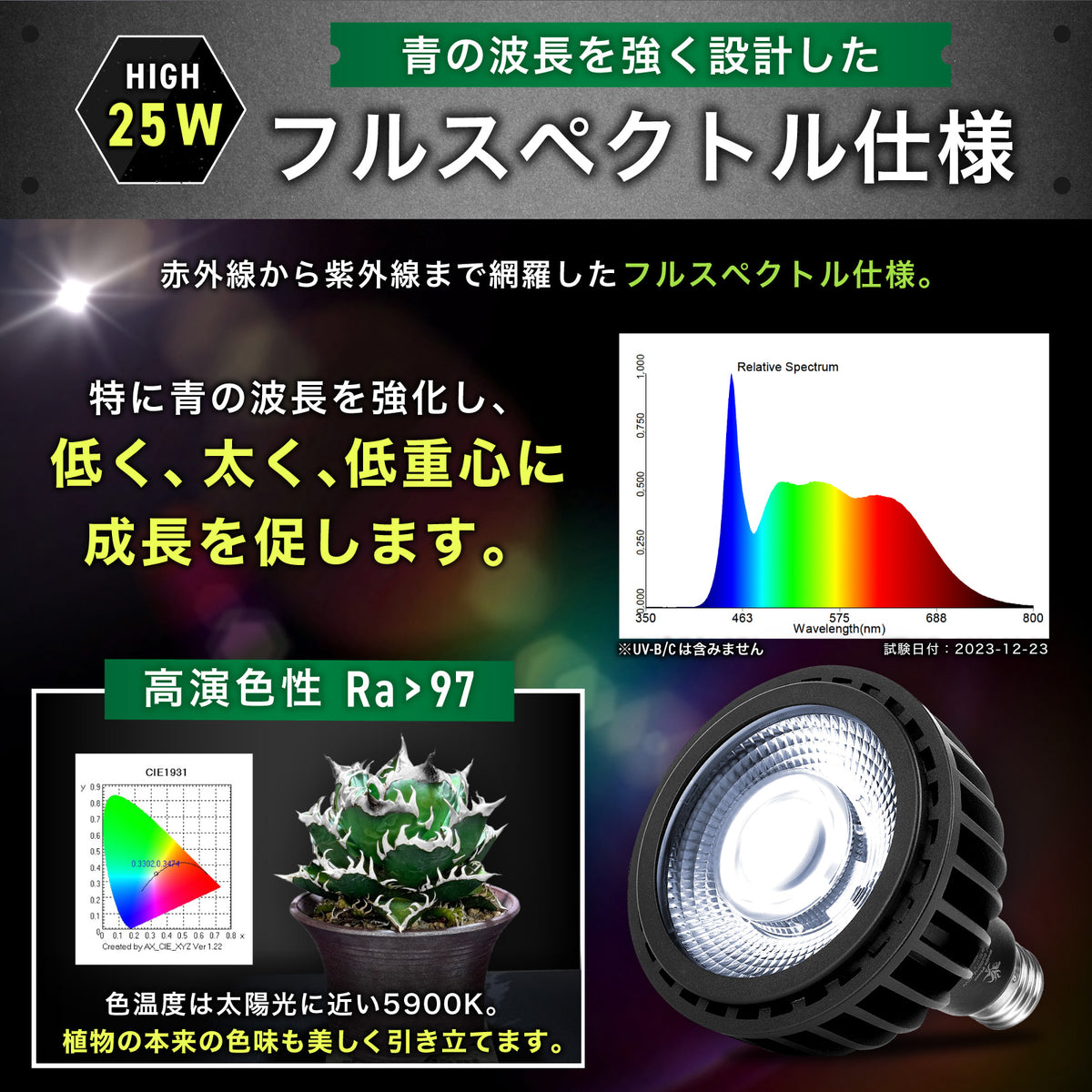 Kaiju Plant 怪獣ビーム HIGH 25W