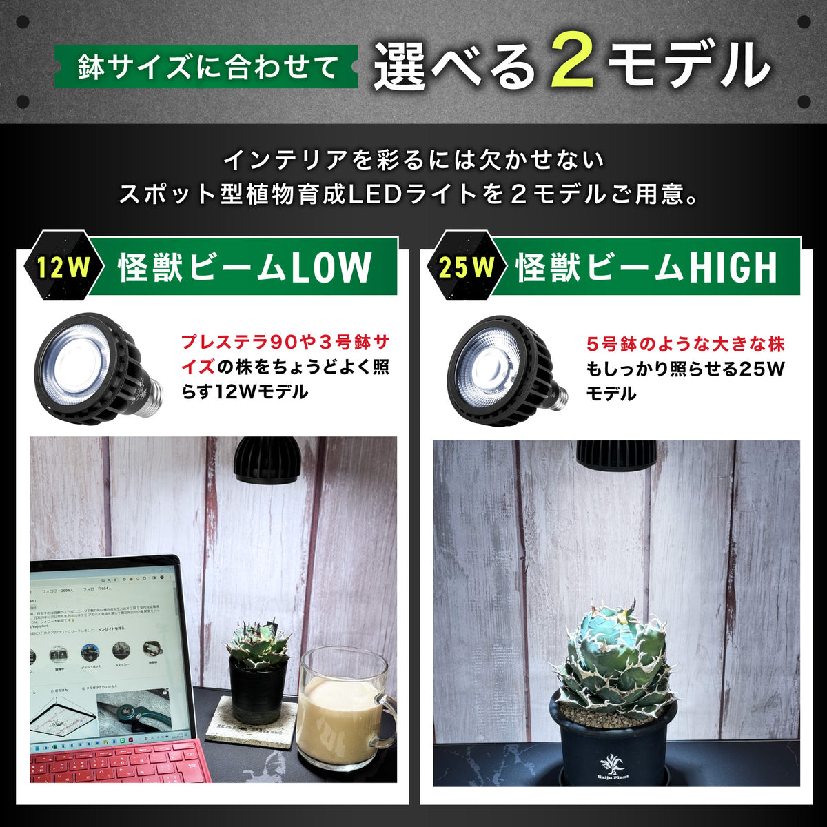 Kaiju Plant 怪獣ビーム HIGH 25W
