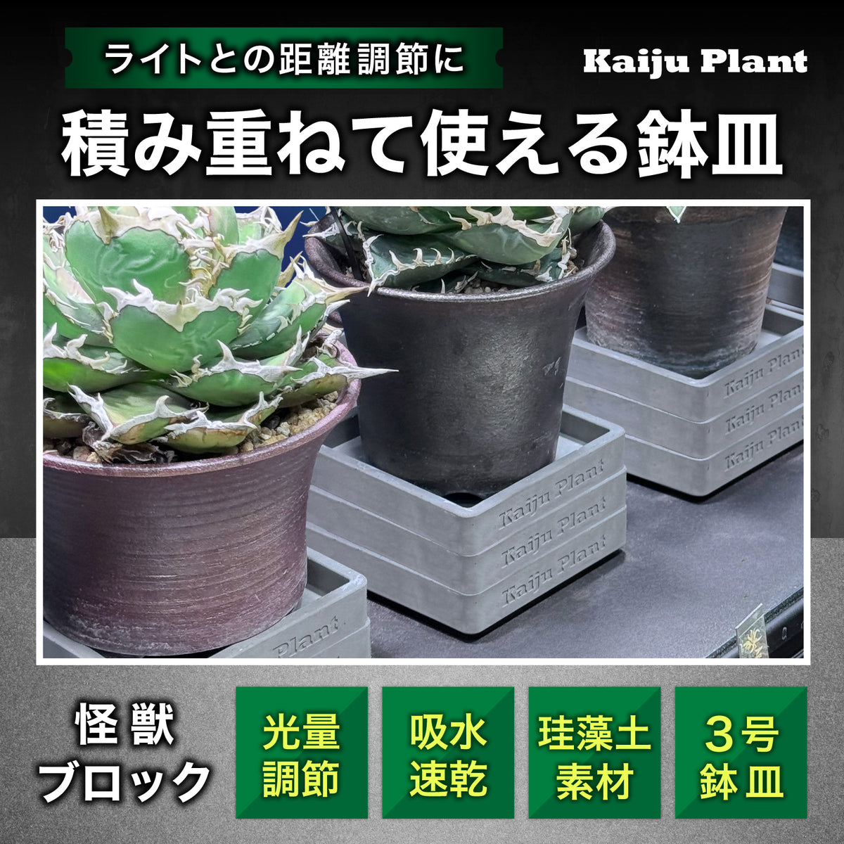 Kaiju Plant 怪獣ブロック