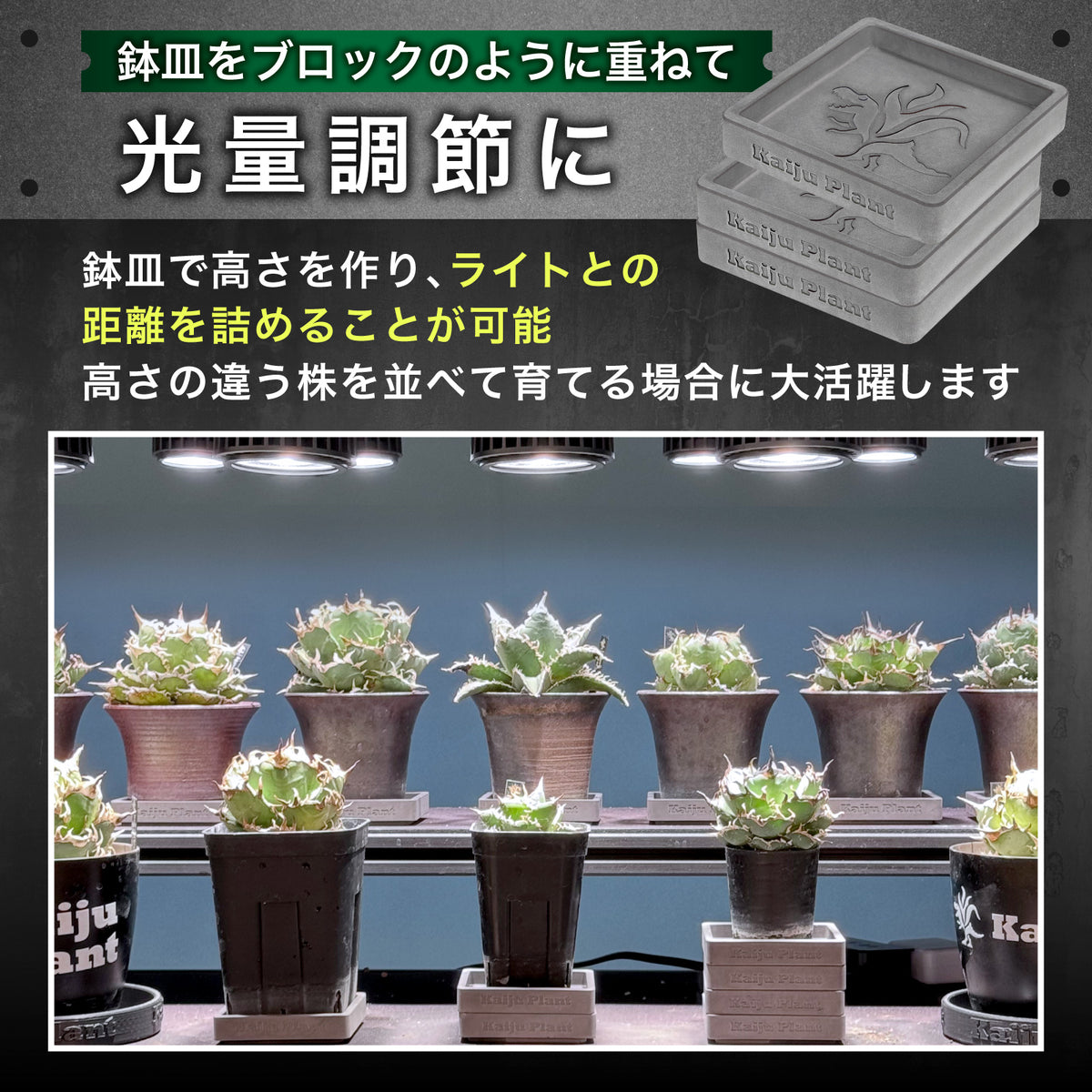Kaiju Plant 怪獣ブロック