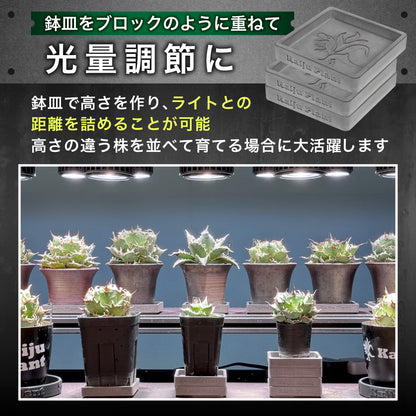Kaiju Plant 怪獣ブロック