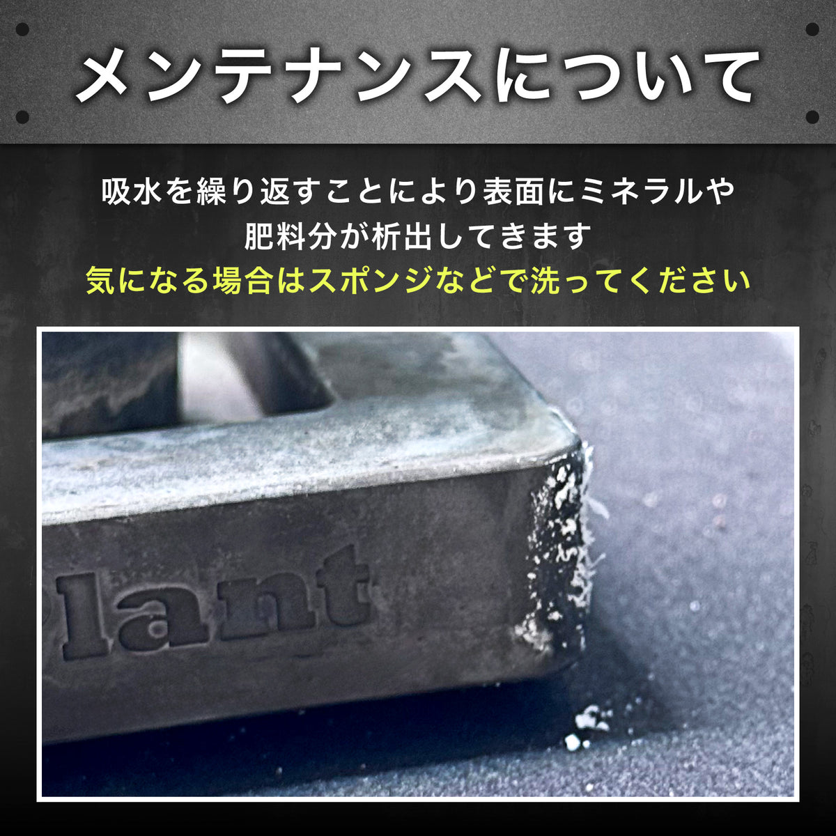 Kaiju Plant 怪獣ブロック