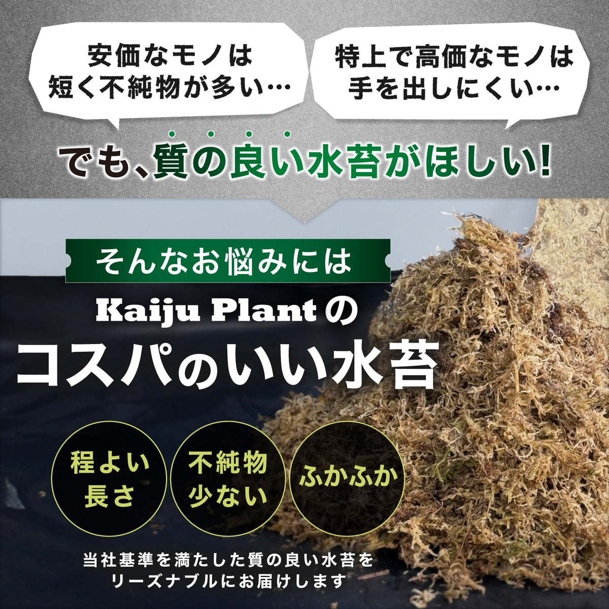 Kaiju Plant 怪獣モス 150g