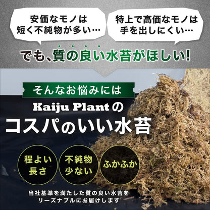 Kaiju Plant 怪獣モス 150g