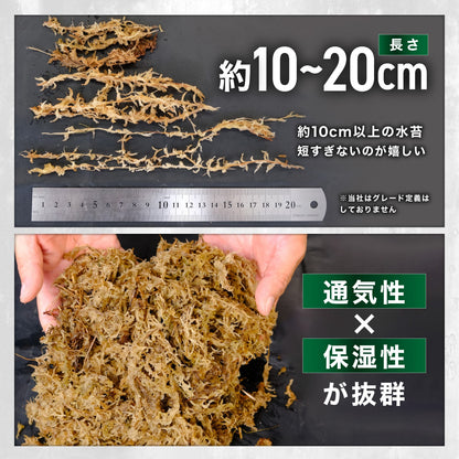 Kaiju Plant 怪獣モス 150g