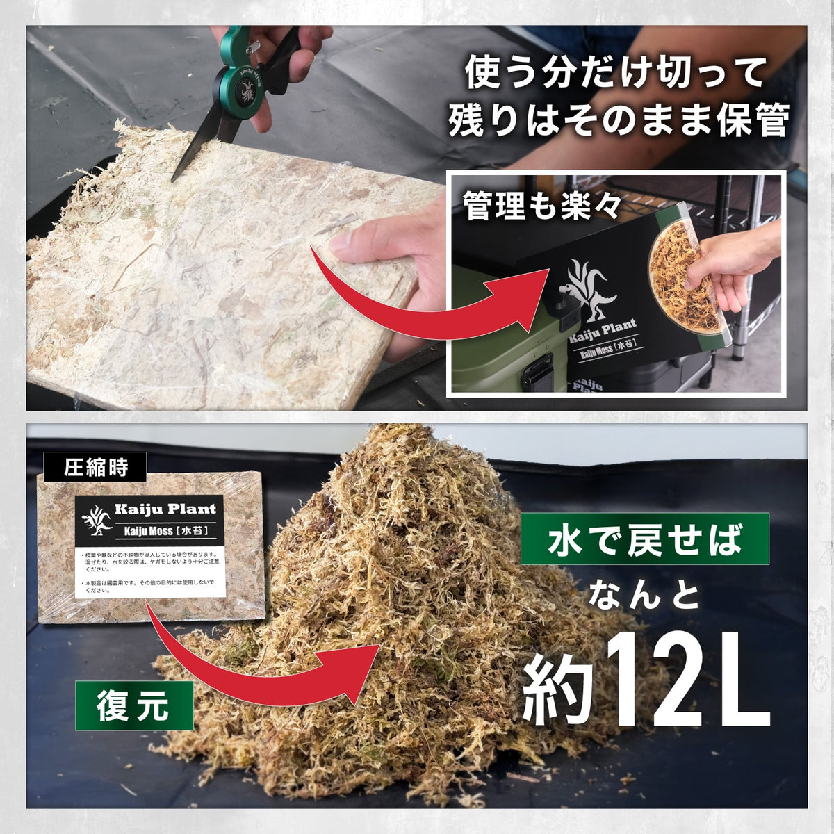 Kaiju Plant 怪獣モス 150g