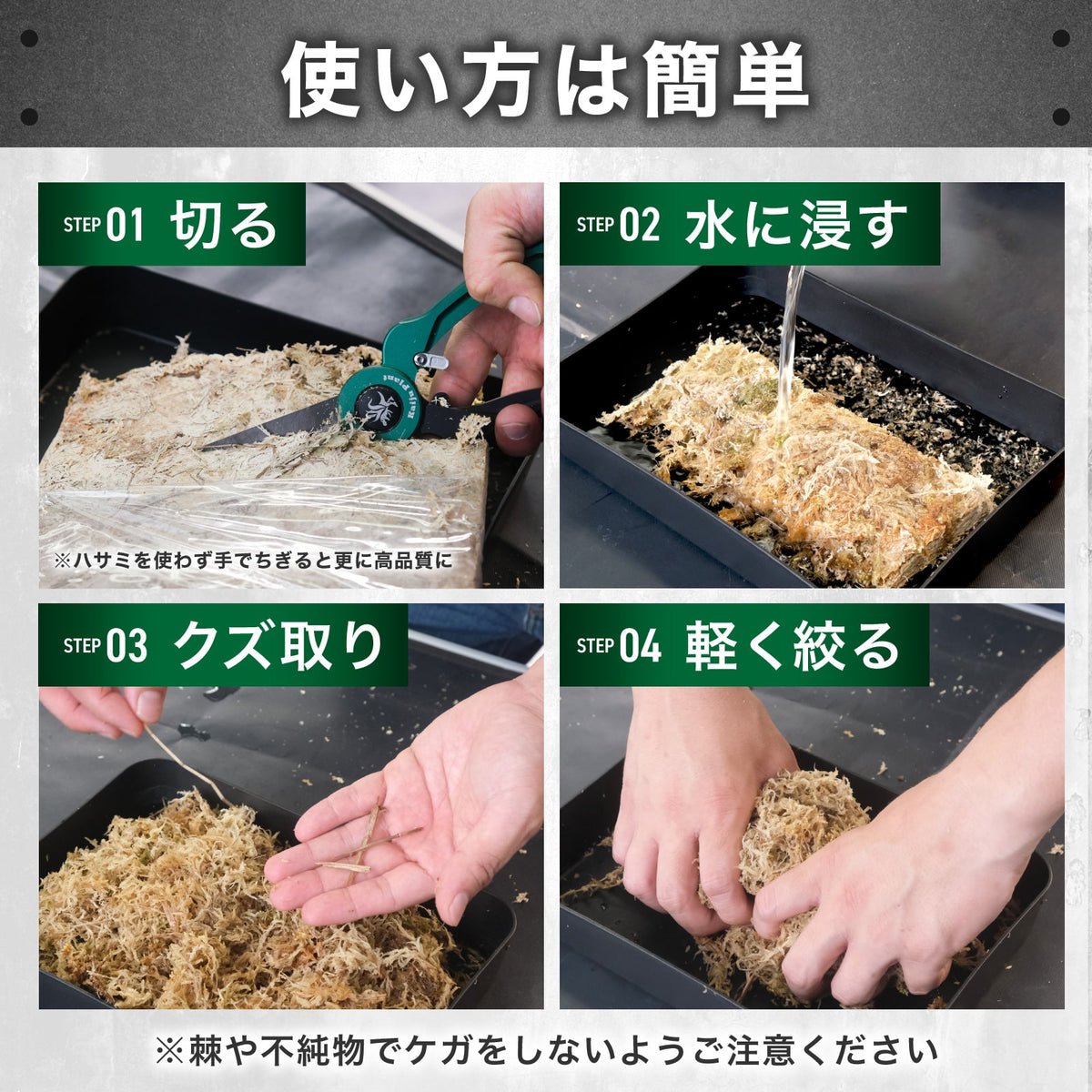 Kaiju Plant 怪獣モス 150g