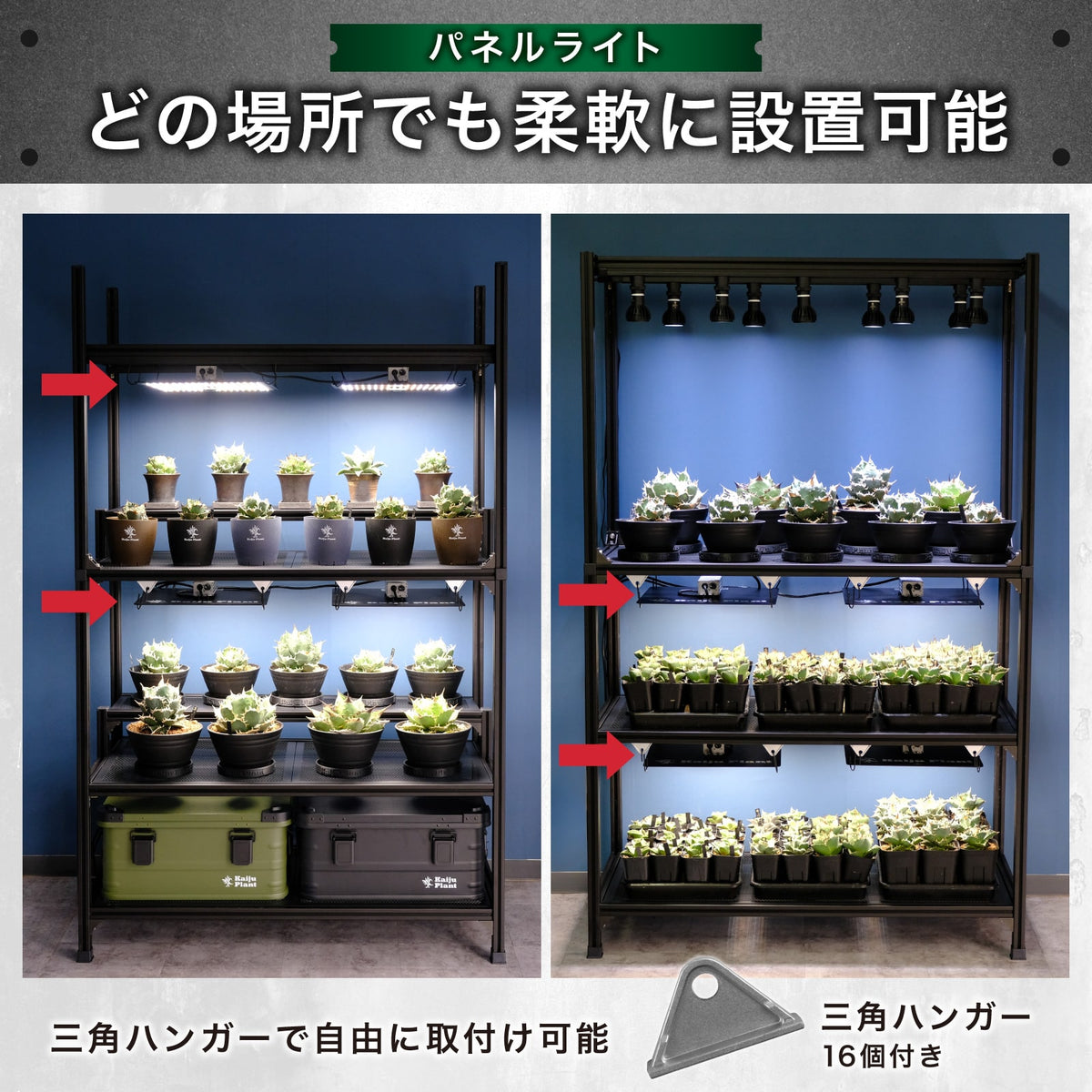 Kaiju Plant 怪獣ラック
