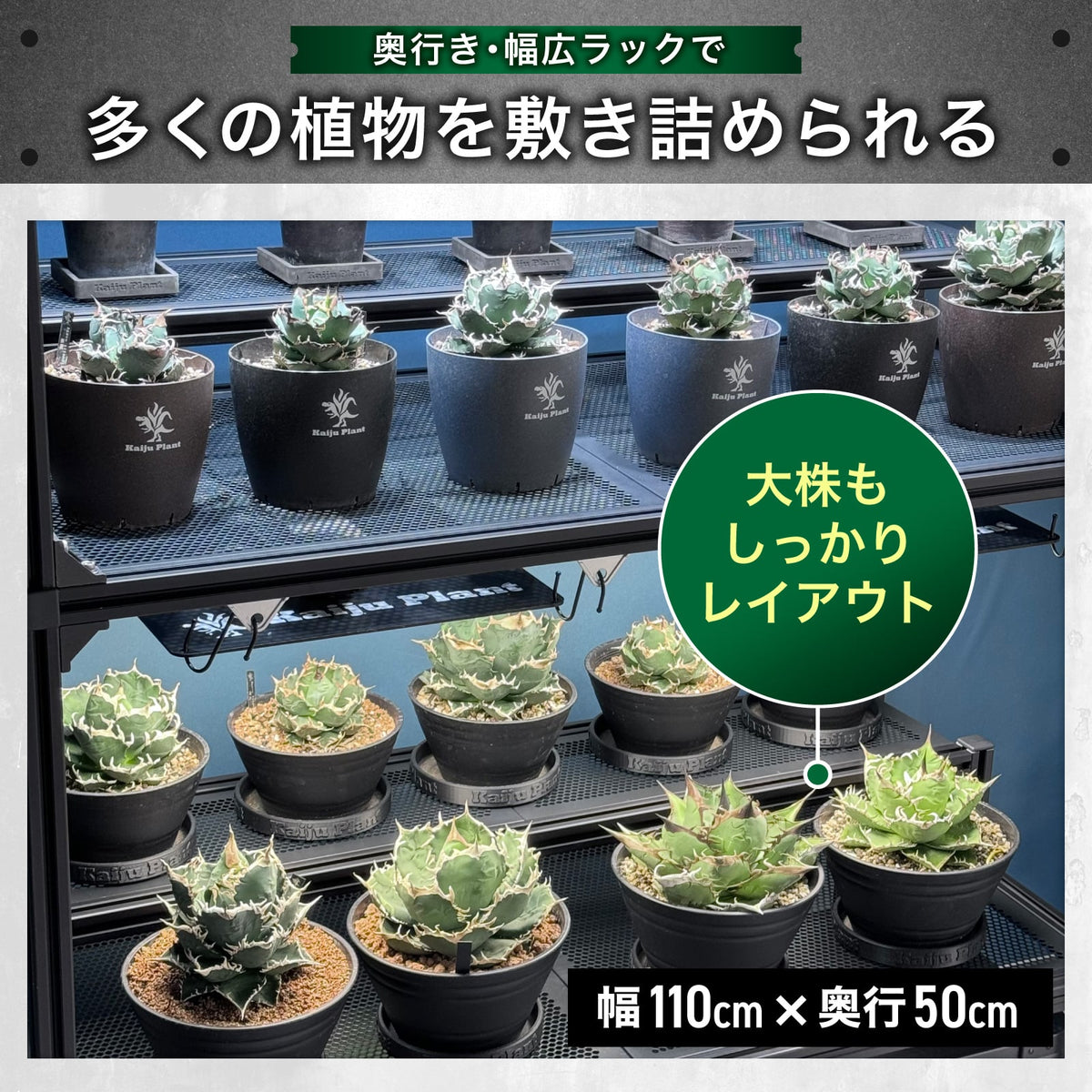 Kaiju Plant 怪獣ラック