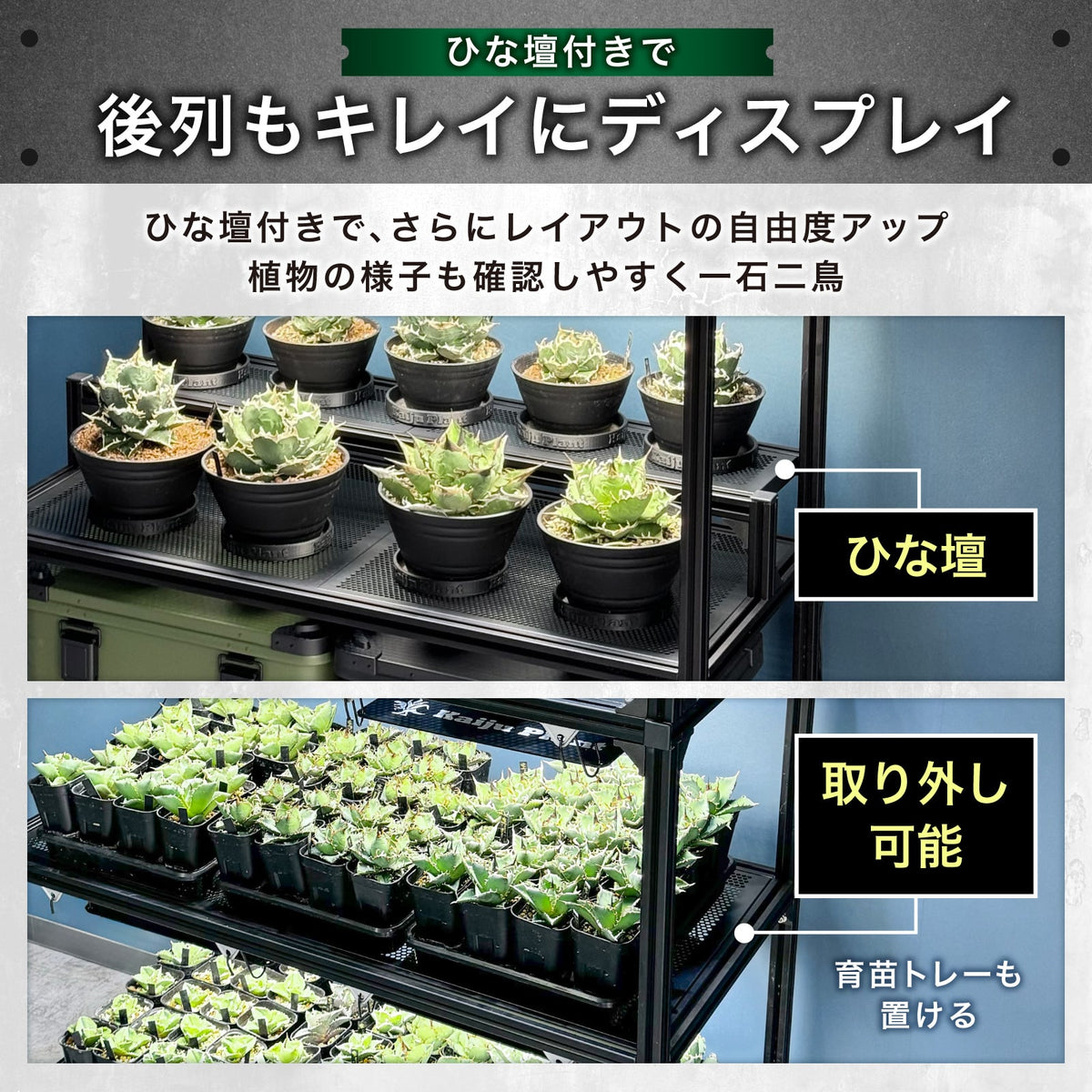 Kaiju Plant 怪獣ラック