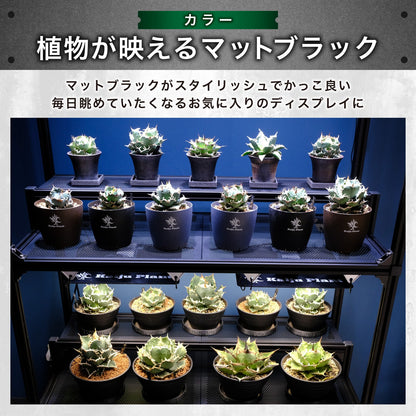 Kaiju Plant 怪獣ラック