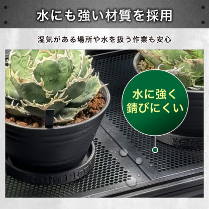 Kaiju Plant 怪獣ラック