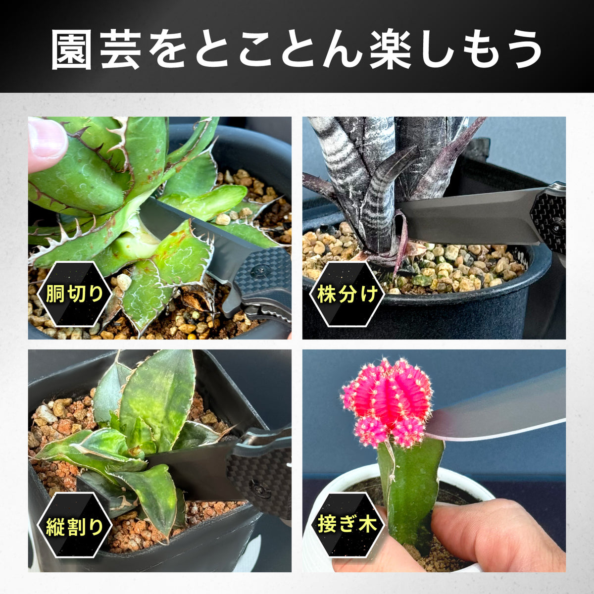 Kaiju Plant 怪獣エッジ