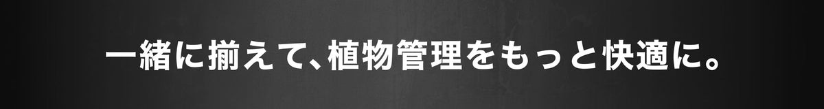 植木鉢と一緒に使う鉢皿を見る