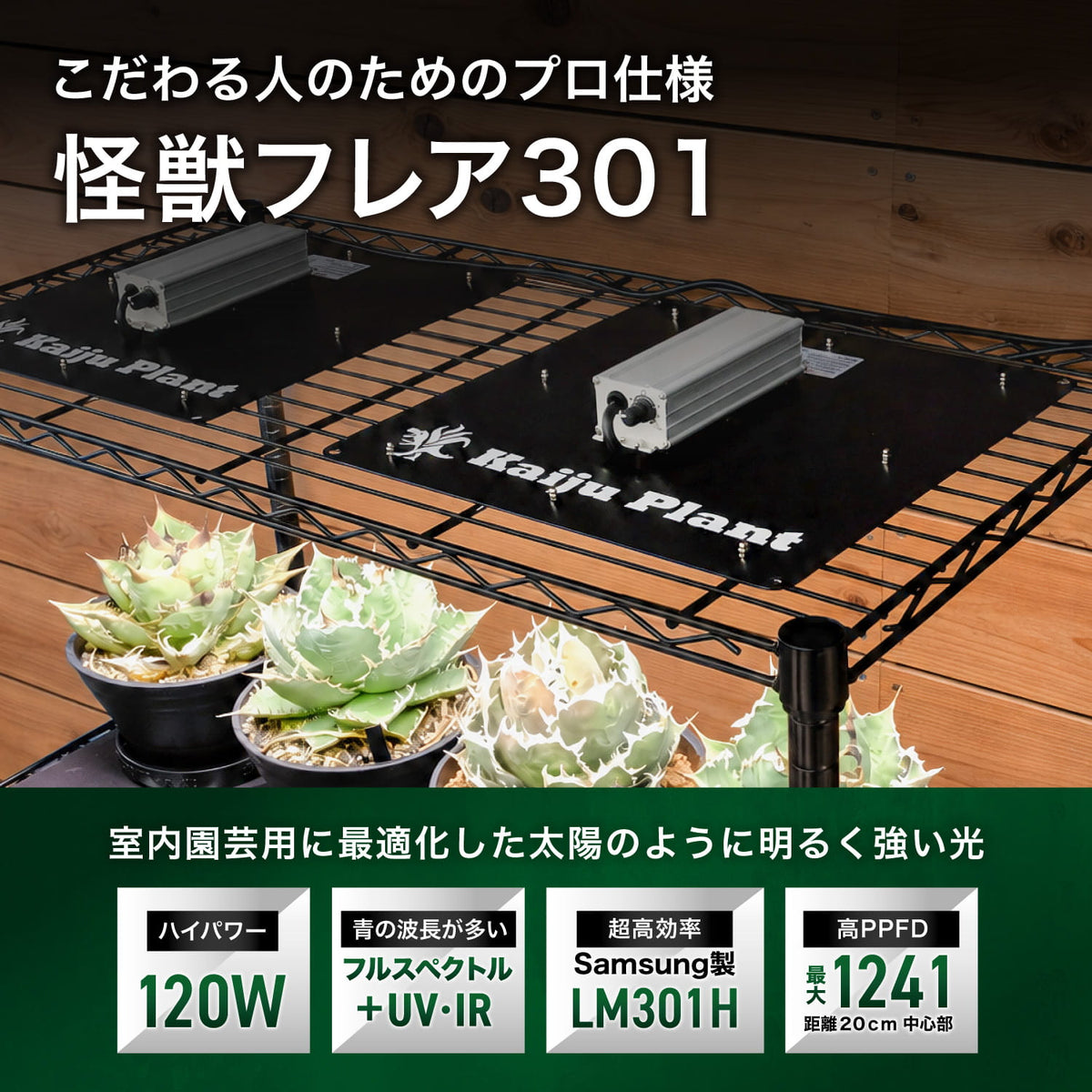 怪獣フレア301の特長