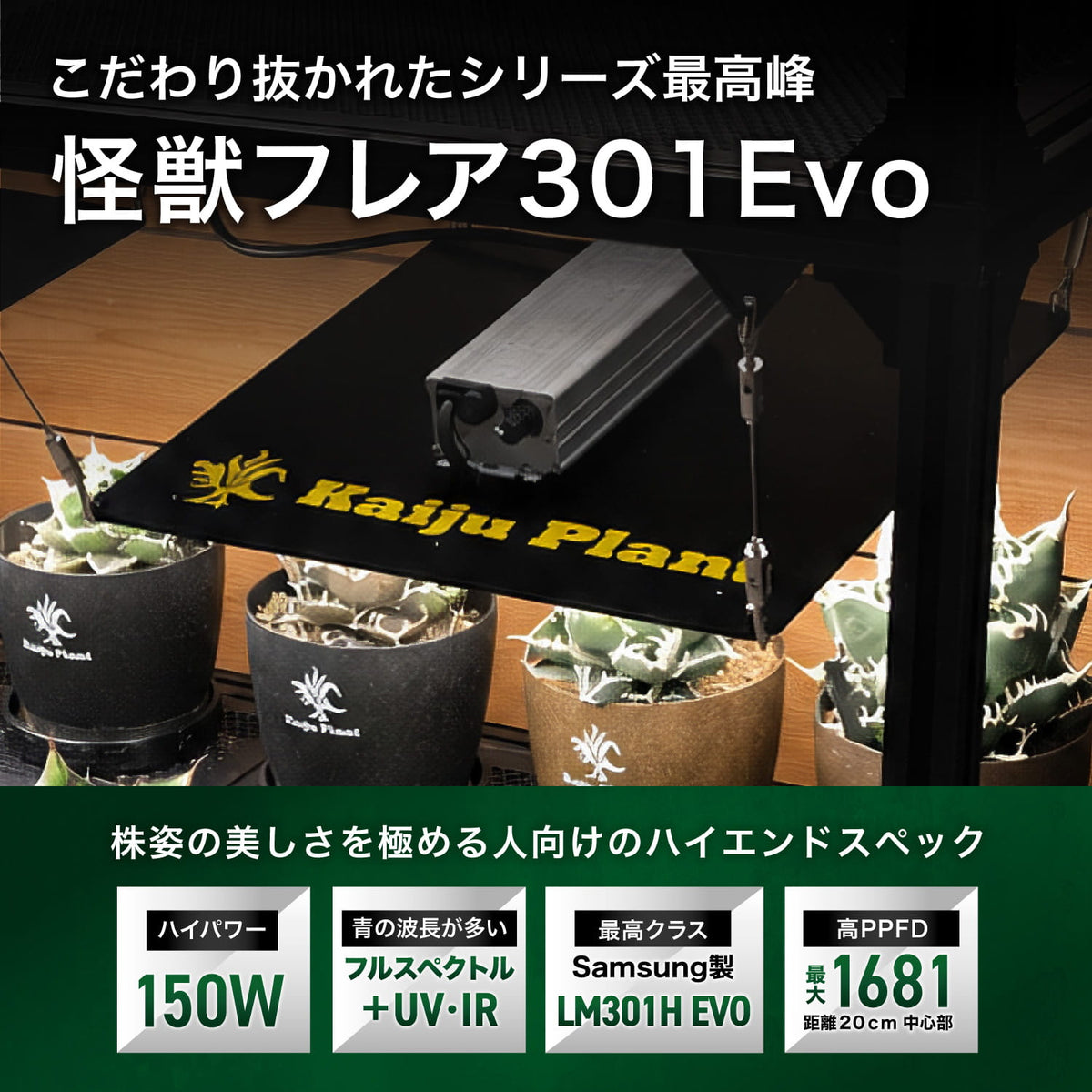 怪獣フレア301 Evoの特長