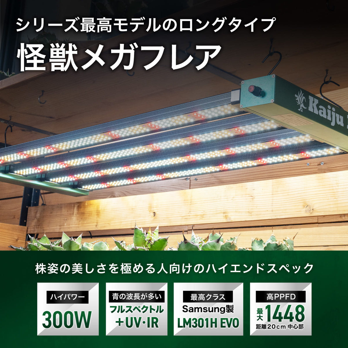怪獣メガフレアの特長