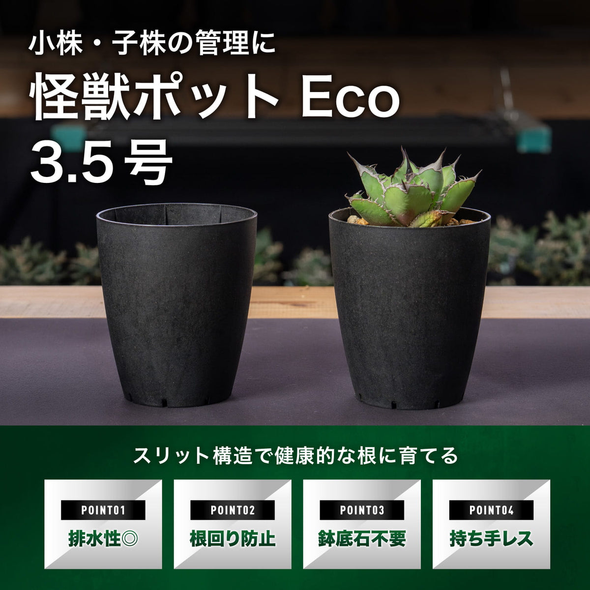 怪獣ポット Eco 3.5号の特長