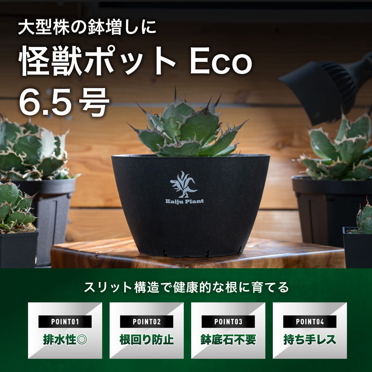怪獣ポット Eco 6.5号の特長
