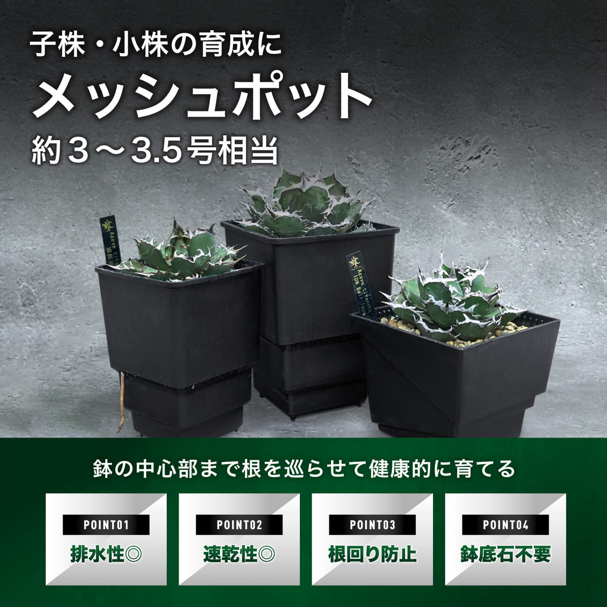 深鉢8cm角メッシュポットの特長