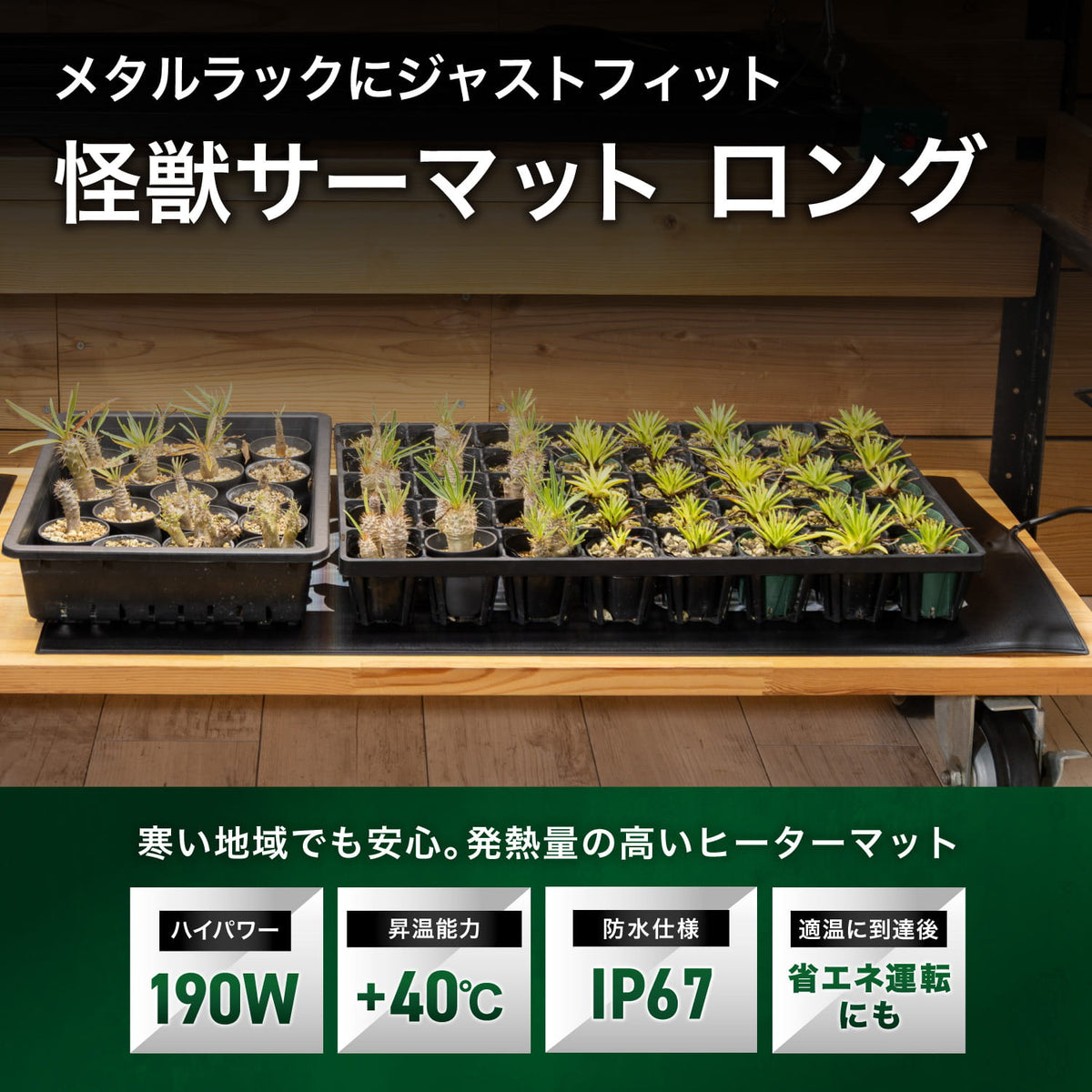 怪獣サーマットLの特長
