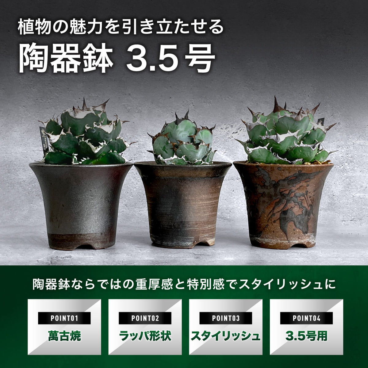 萬古焼ラッパ鉢3.5号の特長