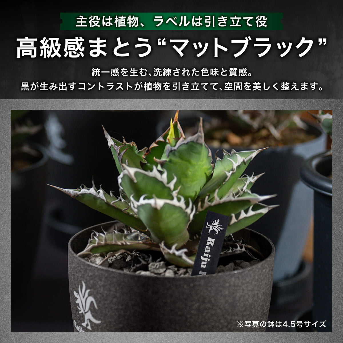 Kaiju Plant 園芸ラベル
