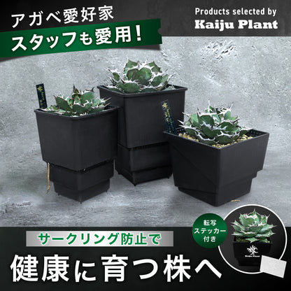 Kaiju Plant メッシュポット 6個セット