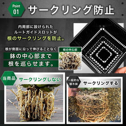 Kaiju Plant メッシュポット 6個セット