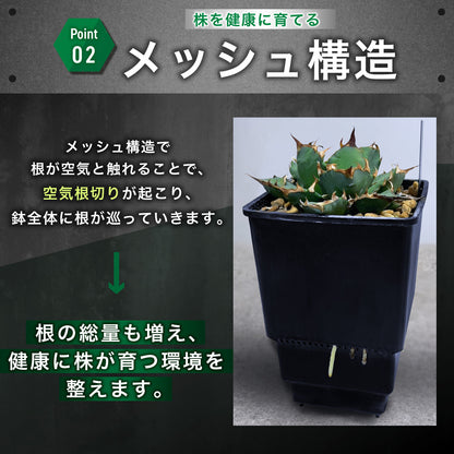 Kaiju Plant メッシュポット 6個セット