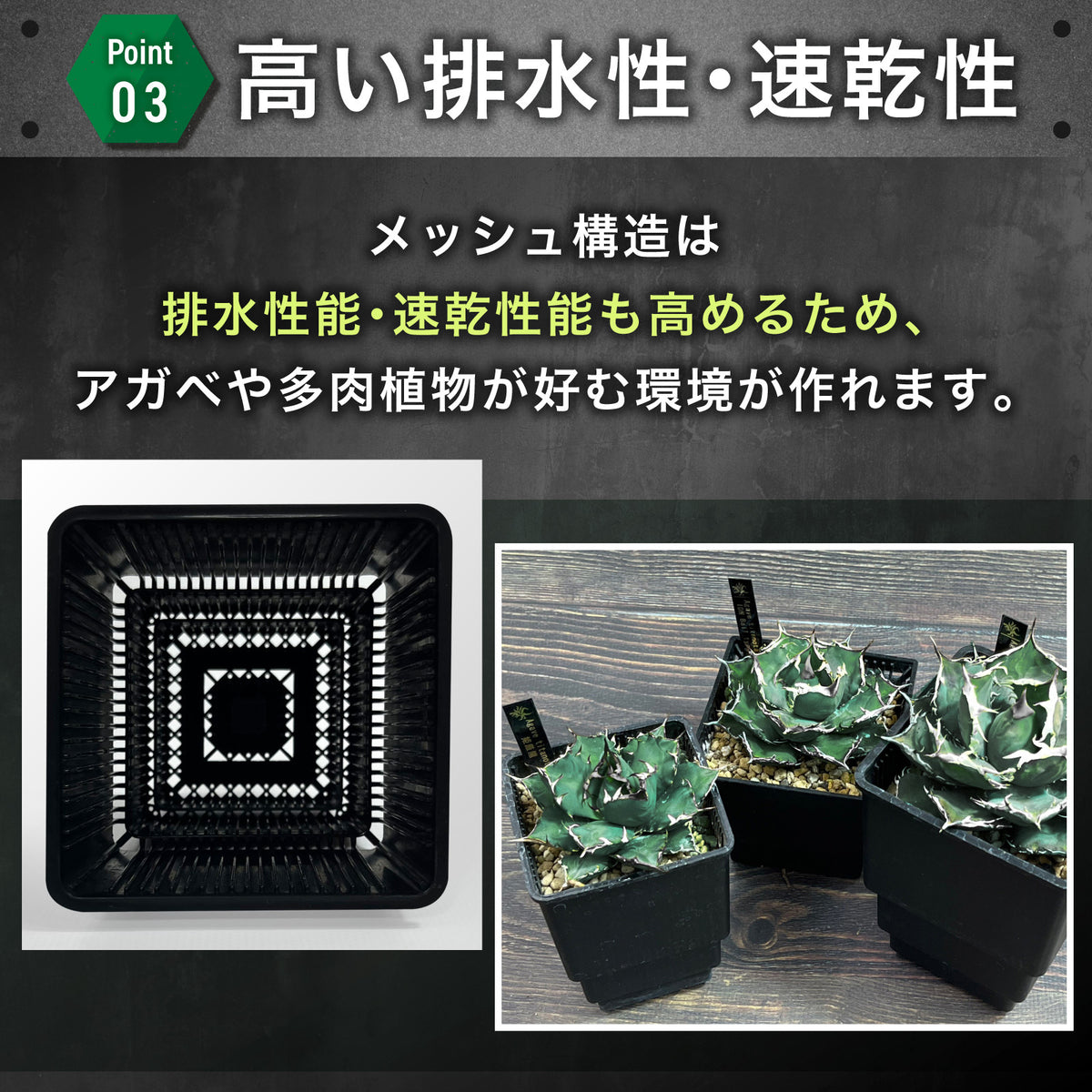 Kaiju Plant メッシュポット 6個セット