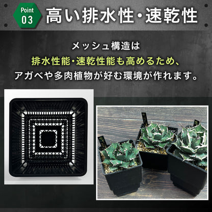 Kaiju Plant メッシュポット 6個セット