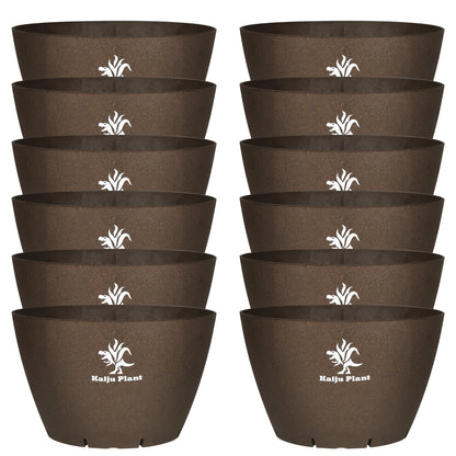 Kaiju Plant 怪獣ポット Eco 6.5