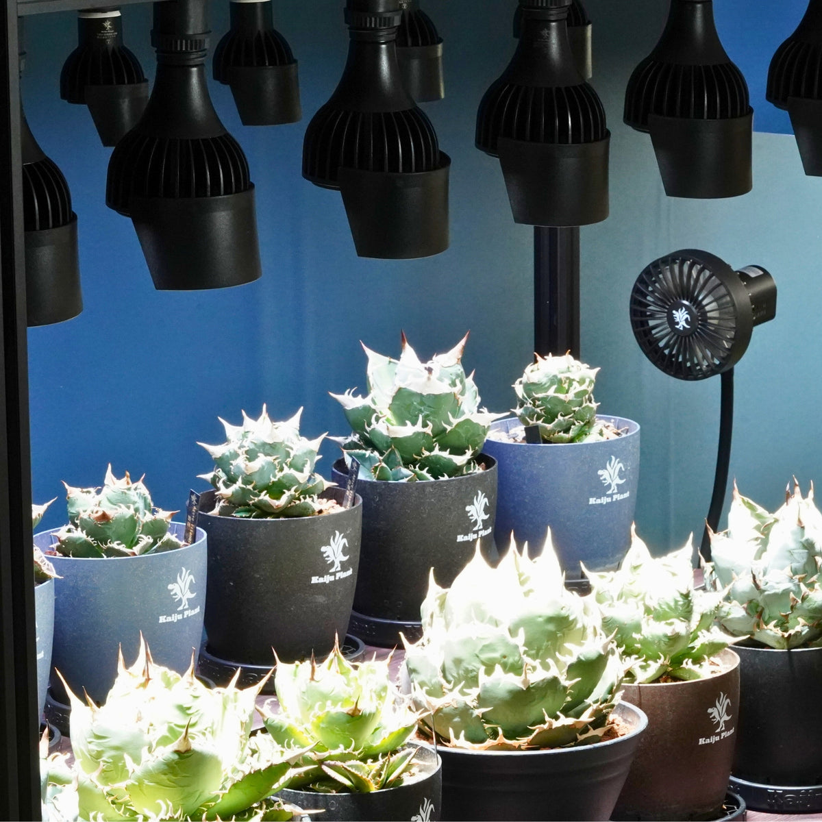 Kaiju Plant 怪獣ビーム専用シェードリフレクター