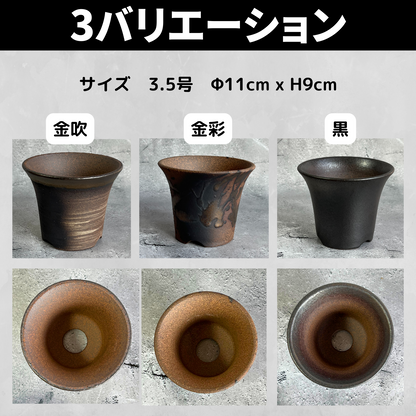 Kaiju Plant 萬古焼ラッパ鉢 3.5号
