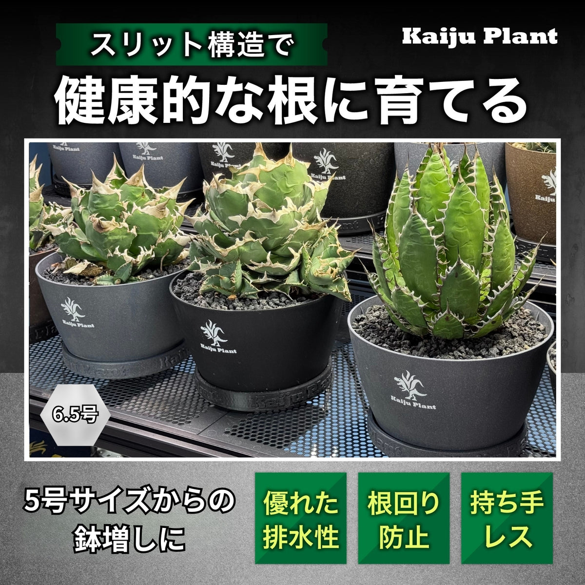 Kaiju Plant 怪獣ポット Eco 6.5