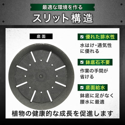Kaiju Plant 怪獣ポット Eco 6.5
