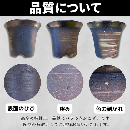Kaiju Plant 萬古焼ラッパ鉢 3.5号