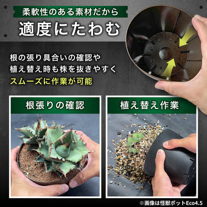Kaiju Plant 怪獣ポット Eco 6.5