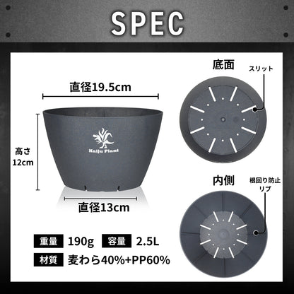 Kaiju Plant 怪獣ポット Eco 6.5
