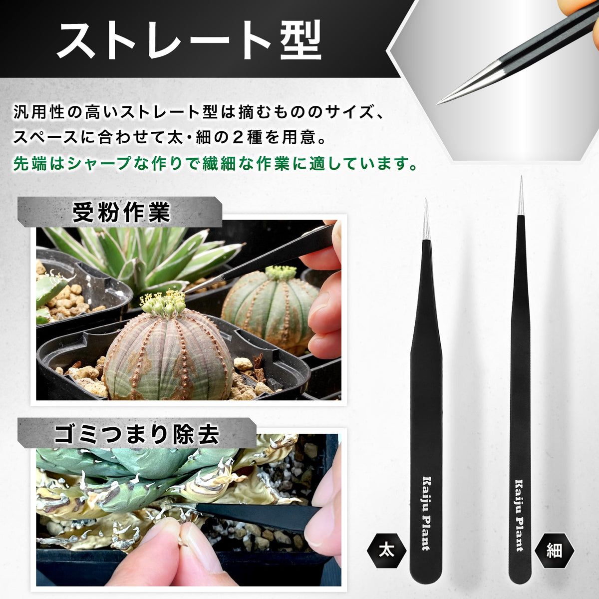Kaiju Plant ピンセット＆根かき棒セット