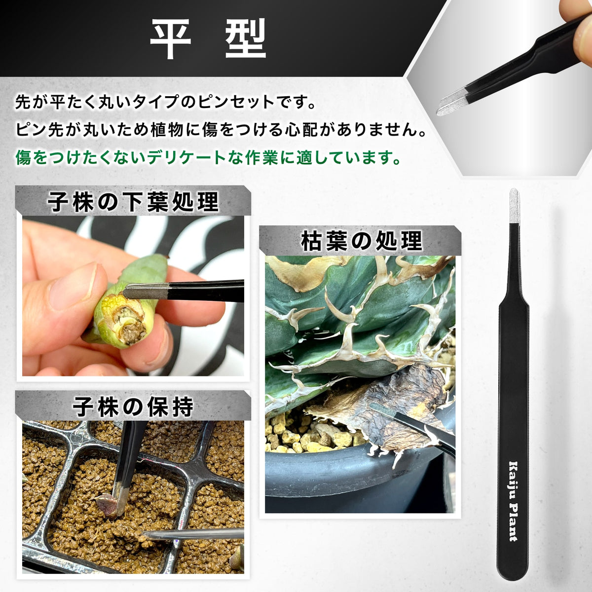 Kaiju Plant ピンセット＆根かき棒セット